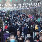 سواد بیمه‌ای