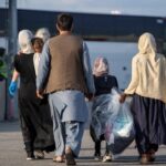 صندوق تامین خسارت‌های بدنی