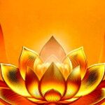 بیمه زرین پاسارگاد