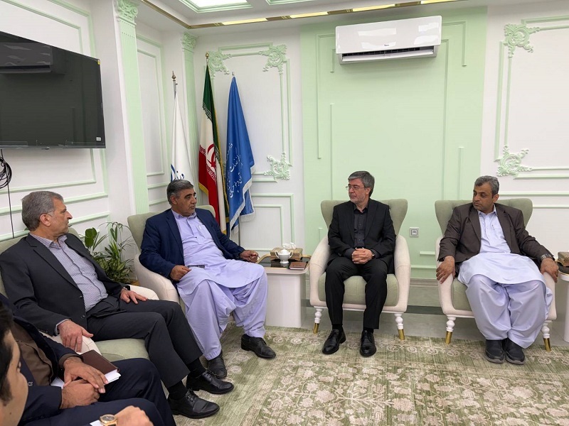 مدیرعامل بیمه ایران
